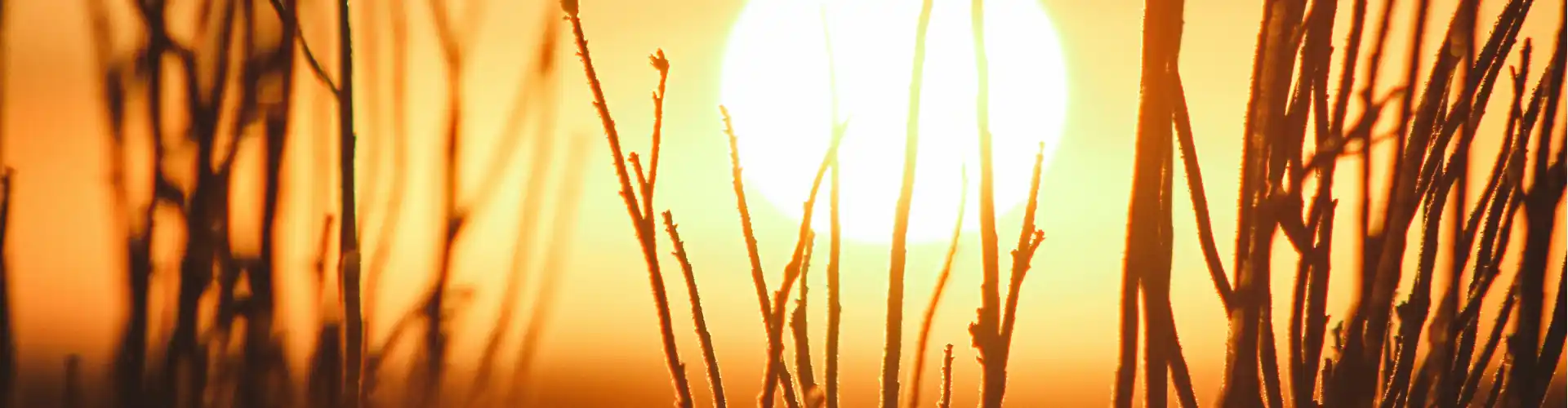 Bundle: Kamu yang cantik - Online Course by Learn It Live